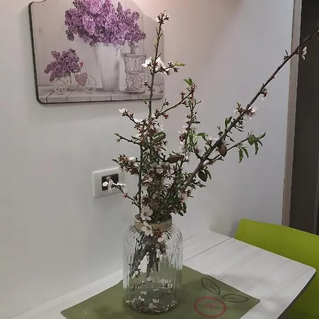 Cavaliere Costa Bed and Breakfast 4*